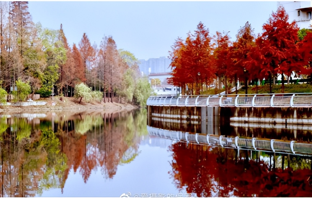 自考金融本科学历免试条件,自考本科金融学有哪些科目