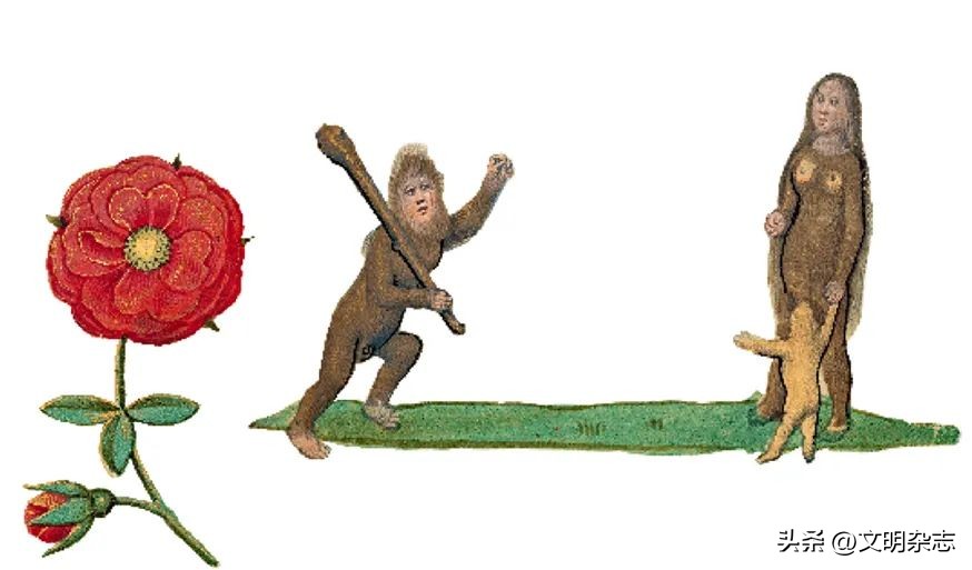 怪诞美学中的怪物,现实中的怪诞