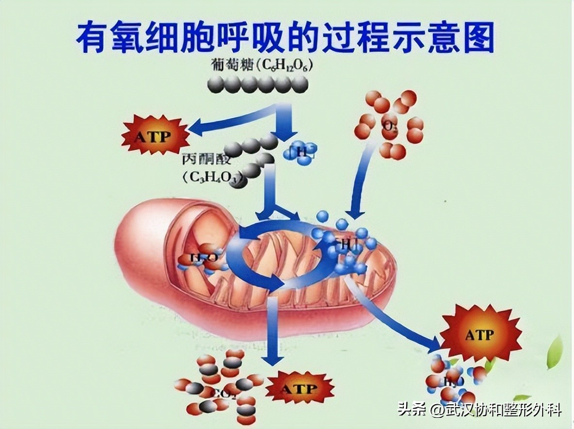 皮肤干燥痒痒起疹子怎么办,皮肤痒血燥是怎么引起的