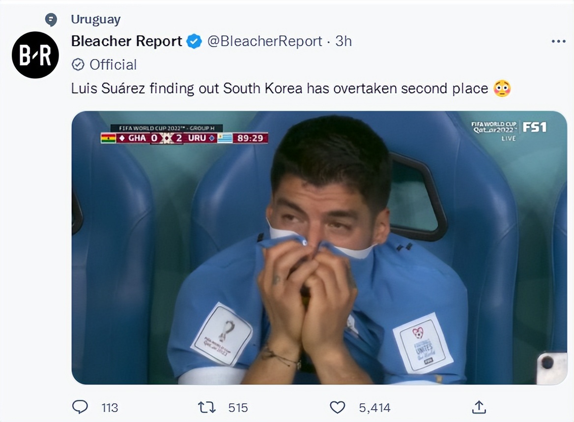 乌拉圭球迷哭了,乌拉圭赛后落泪