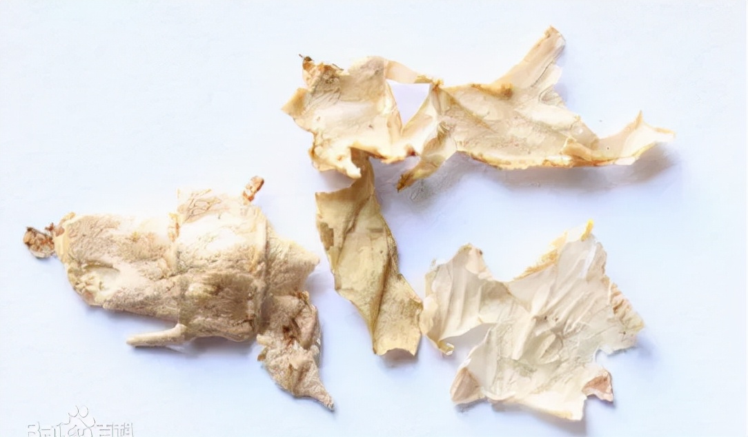 马博士谈营养知识,马博士讲医学视频