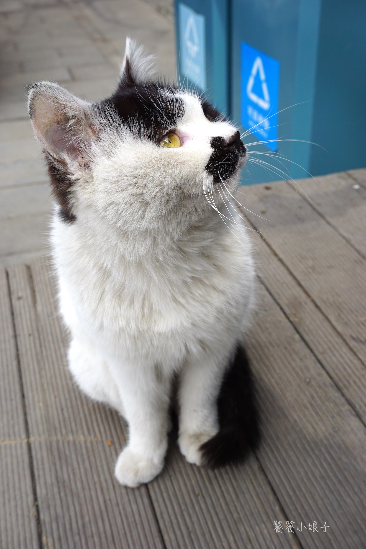 恭王府风水详解,风水宝地恭王府的秘密