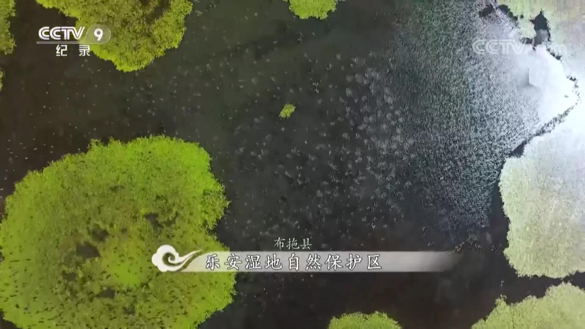 航拍中国第三季四川完整版,航拍中国四川篇视频