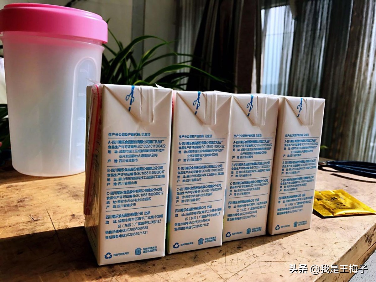 用酸奶做引子自制酸奶的家常做法,自制酸奶纯奶和酸奶的比例