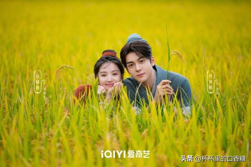 赵露思再演甜宠剧靠细节取胜,赵露思演的最甜的剧