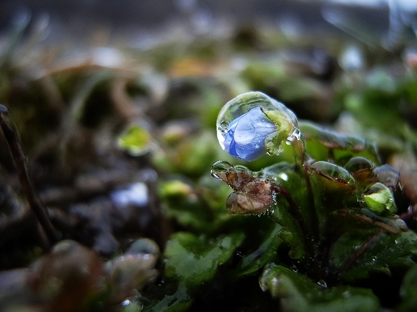 石门坎小学,石门坎部队医院