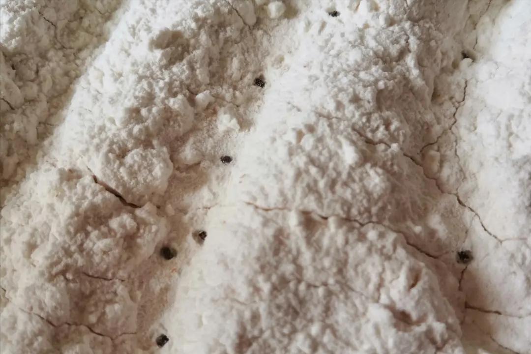 面粉有了虫子味,面粉生虫还能吃吗怎么去除虫子
