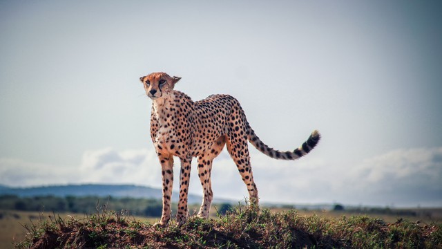 11条扎心社会规则,10条简单的社会定律