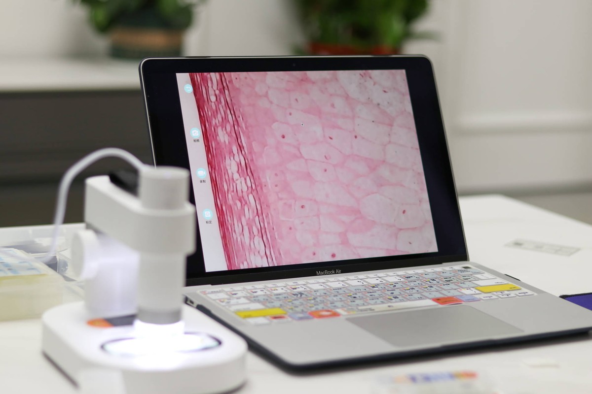 孩子从沉迷手机到主动学习,孩子从玩手机到认真学习的蜕变