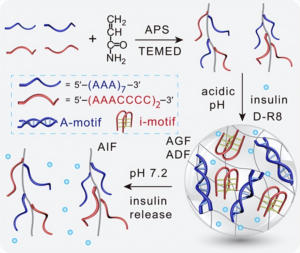 水凝胶抗菌测试标准,水凝胶抗菌试验