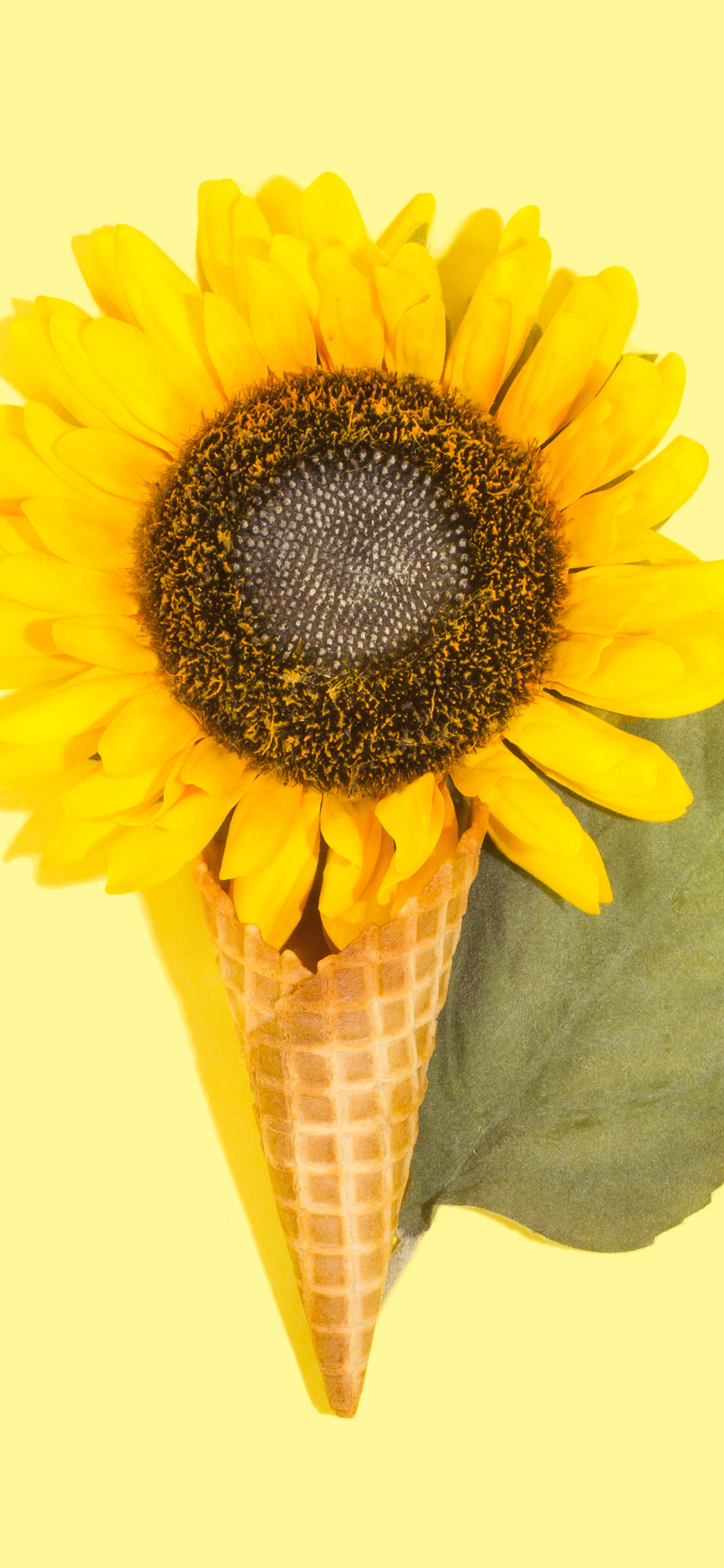 2023年手机壁纸,2023年最新款超清手机壁纸