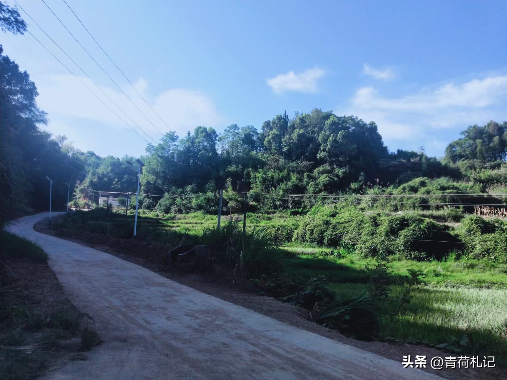 田园生活的古诗词名句,描写田园乡村生活的古诗词