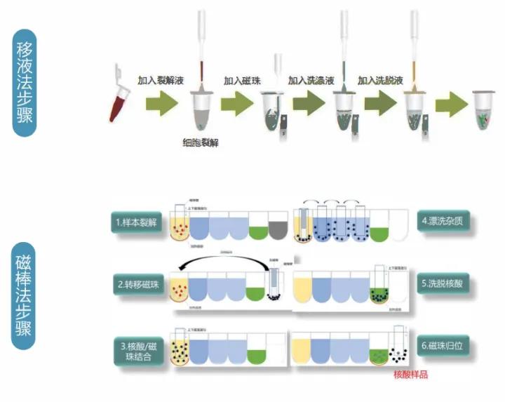核酸提取纯化仪-ArchiPure-鲲鹏
