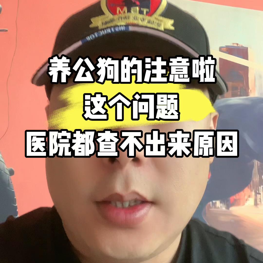 每天分享一个养狗知识,聊聊养狗知识