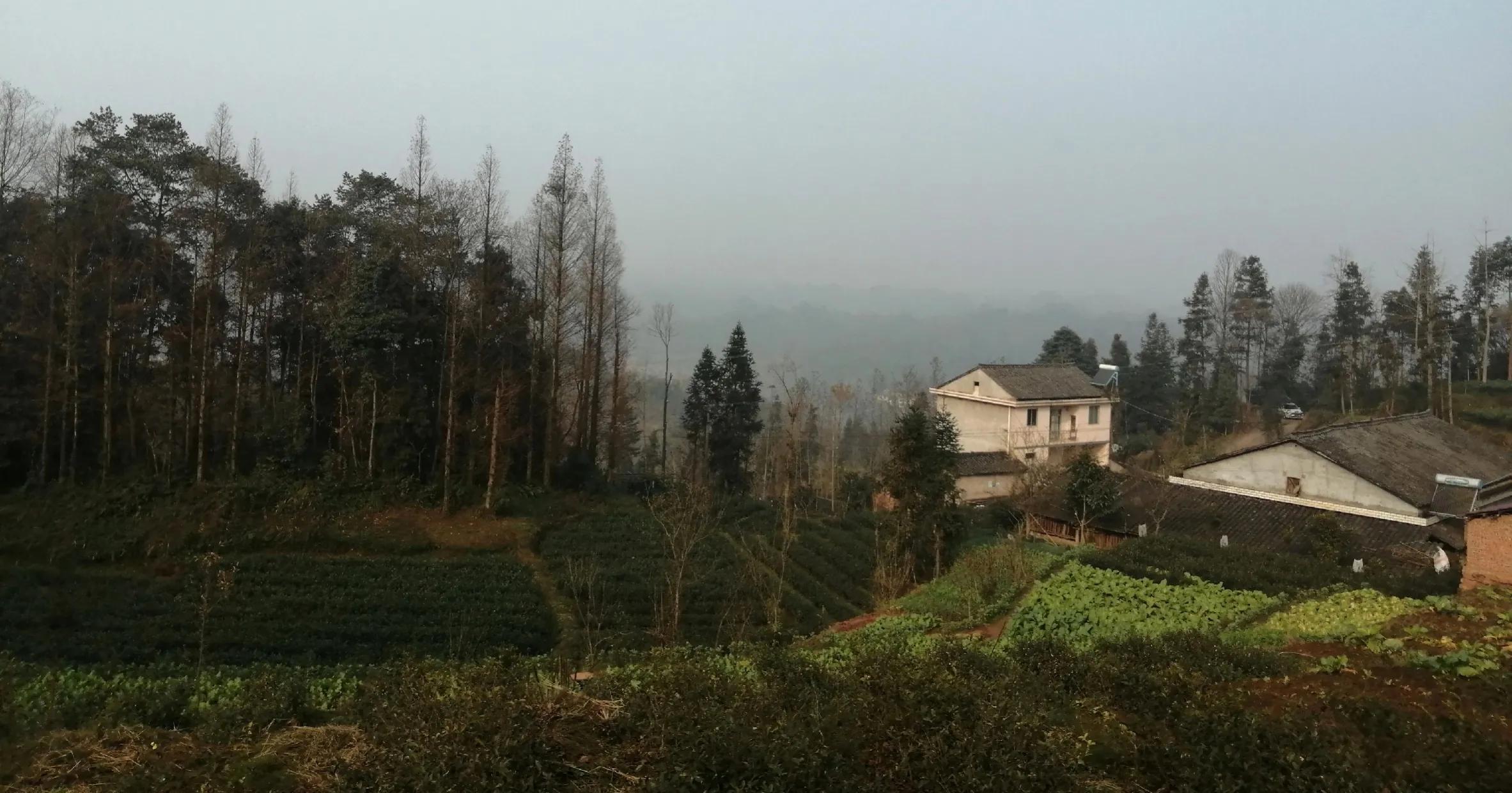 五台山文殊道场讲解,慈悲三昧水忏上中下卷全文注音版