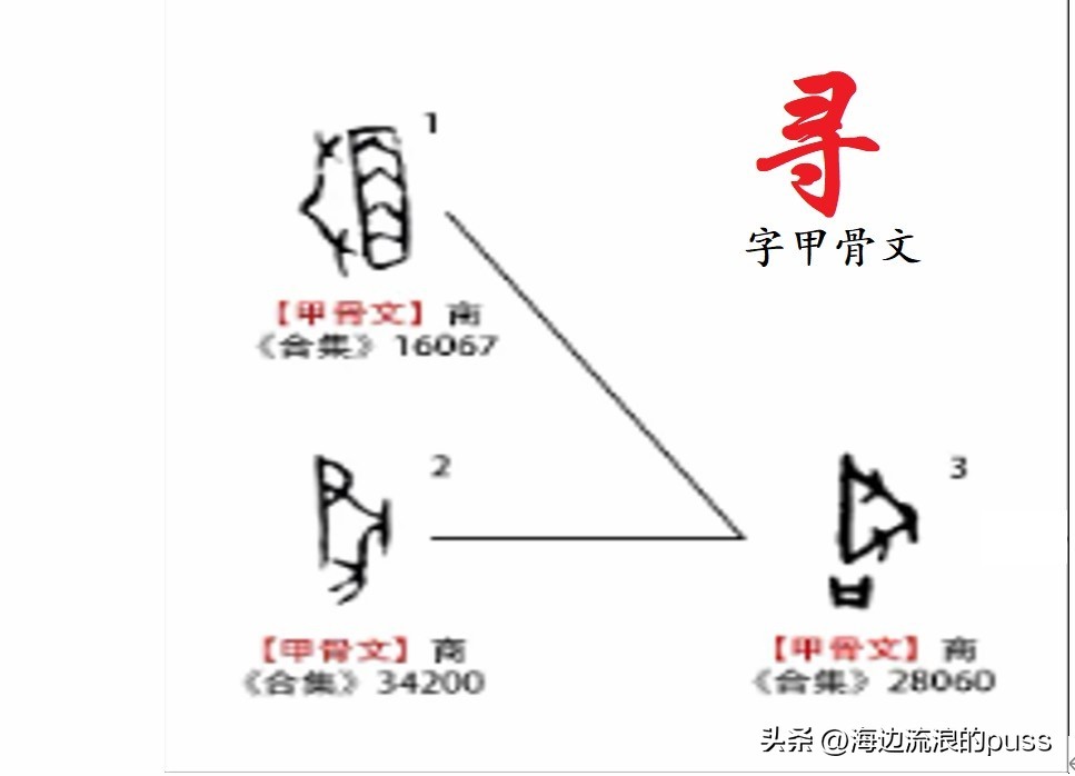 仞丈和尺哪一种最长,长度单位尺丈仞哪个大