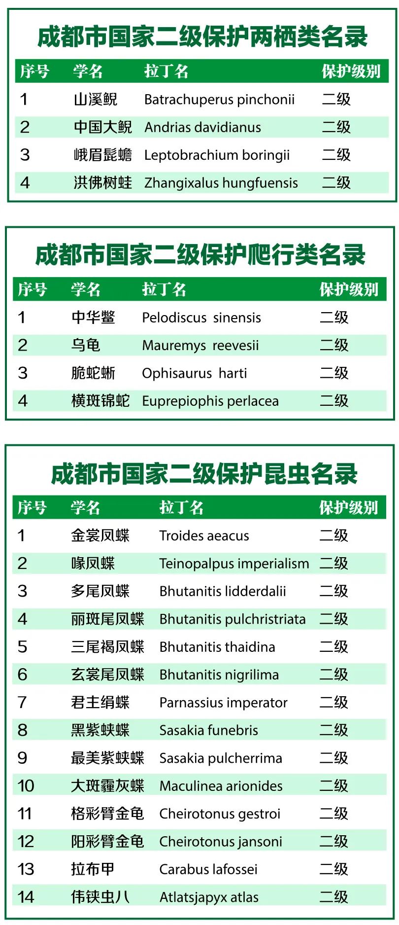 来认识长在石头上的植物,成都有哪些生物