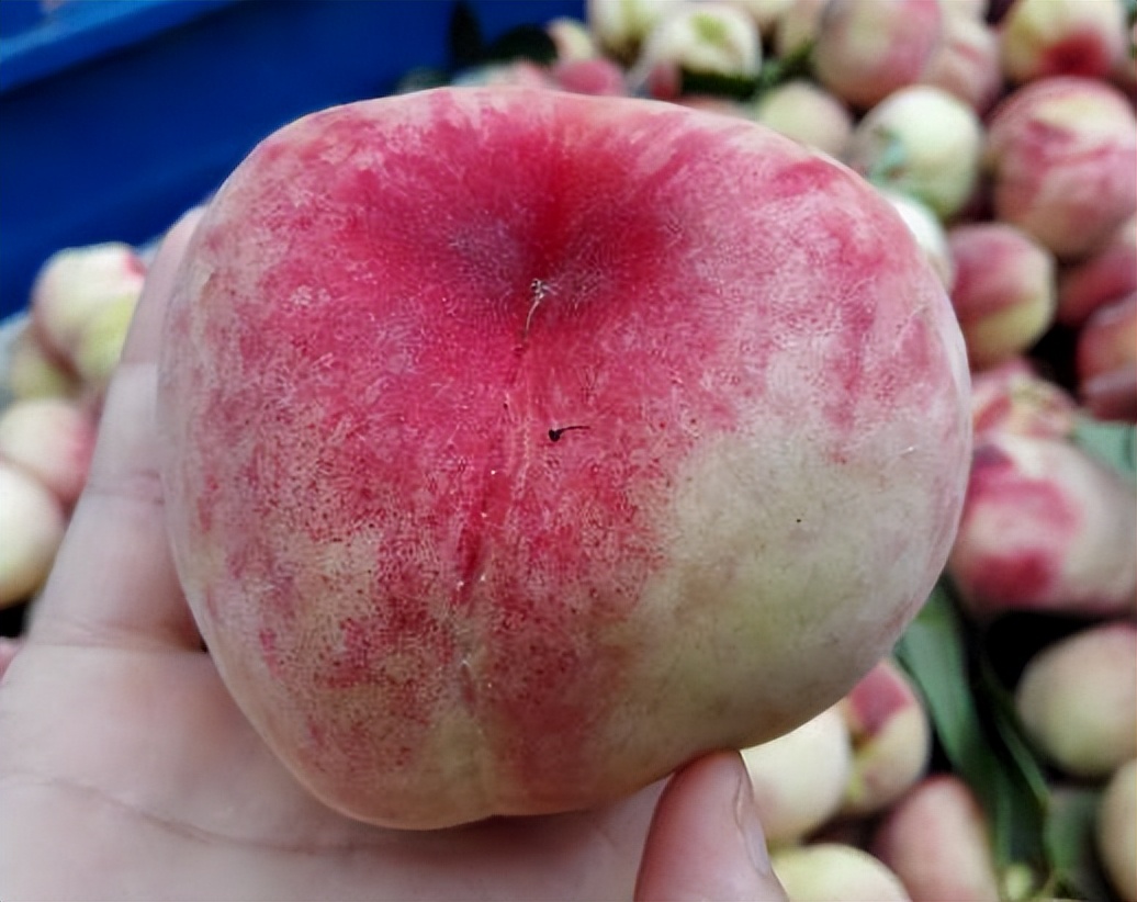 桃子最好吃的10种做法,吃剩下的桃子该怎么做