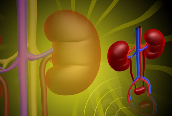 容易引起急性肾衰的是什么,老年人妇科病发作