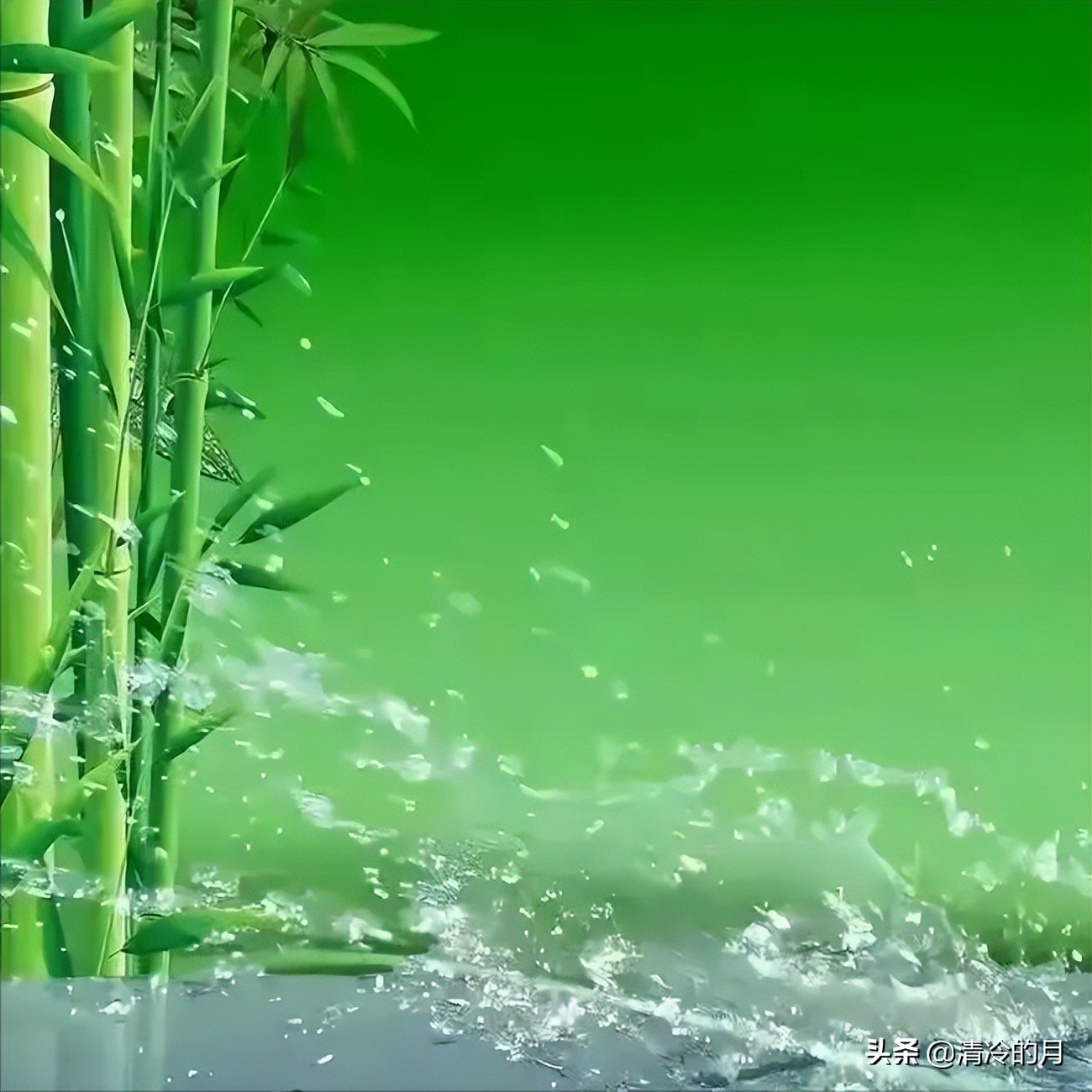 兄弟两个人经典语录,人生感悟兄弟姐妹情