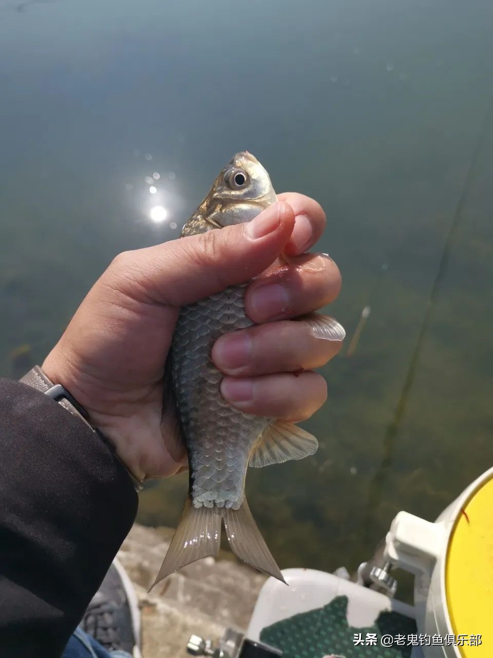 *战野**之王·腥香开春狂拔