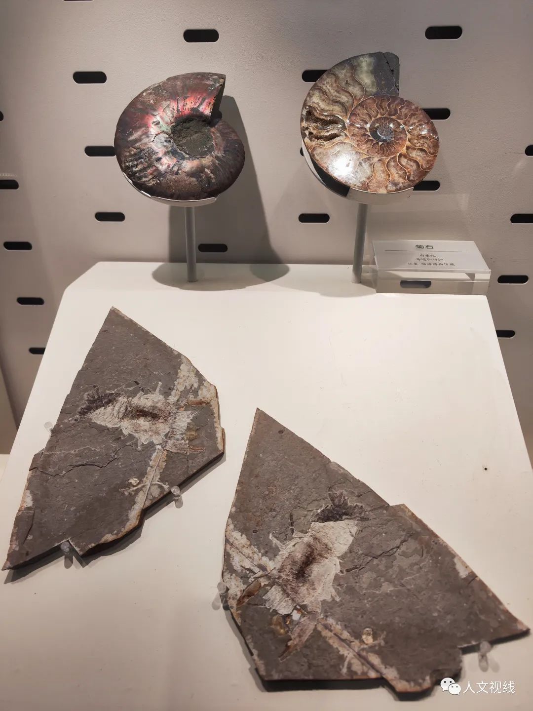 清明回乡,清明祭祖回乡记