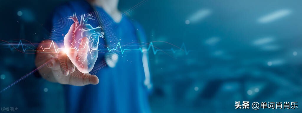 有言有味说单词,有言有味