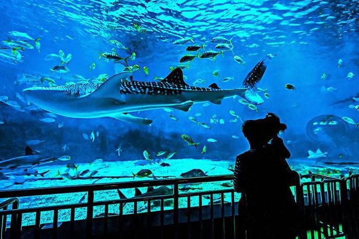 青岛旅行社品质游,青岛信誉好的旅行社