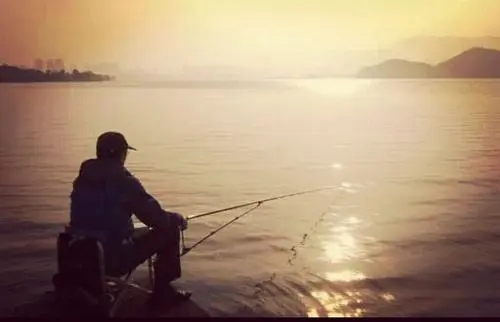 野钓钓鱼短视频初级,短视频钓鱼真相