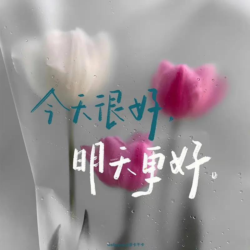 爱迎万难文字封面背景图,因为喜欢可迎万难背景图