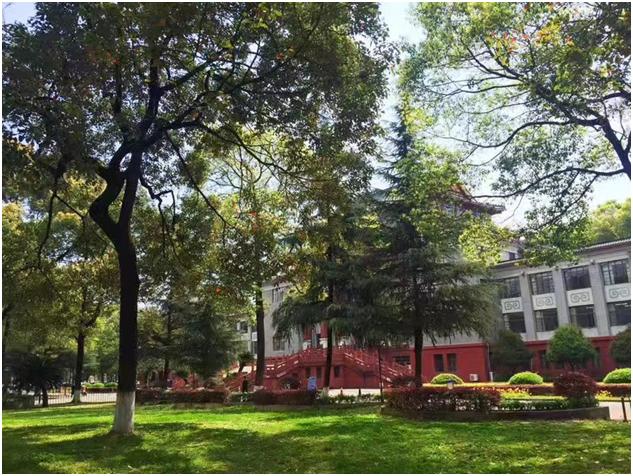 大学青春的绽放,大学青春