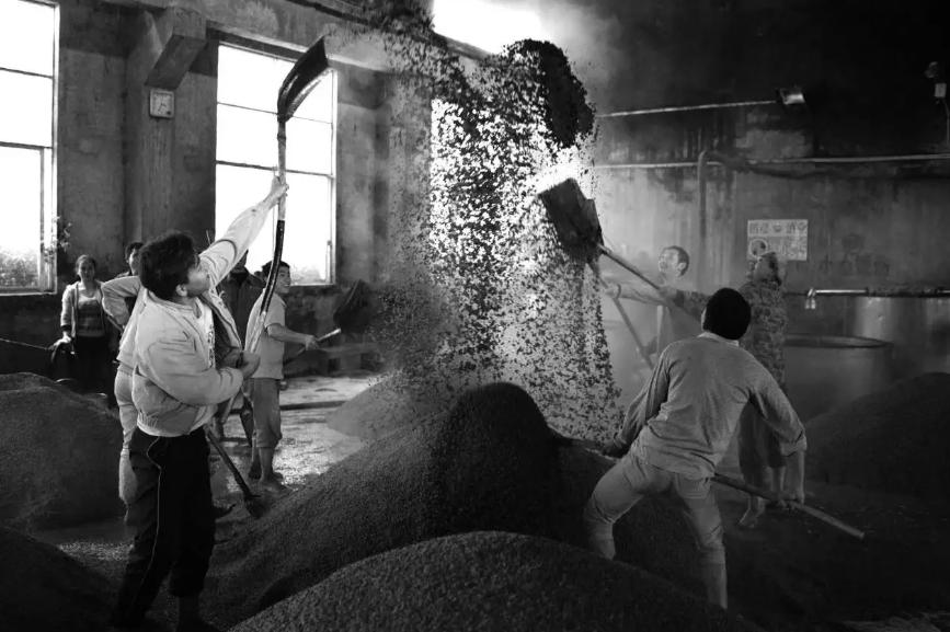 飞天茅台1499抢购是真是假,部分超市卖飞天茅台1499是真的吗