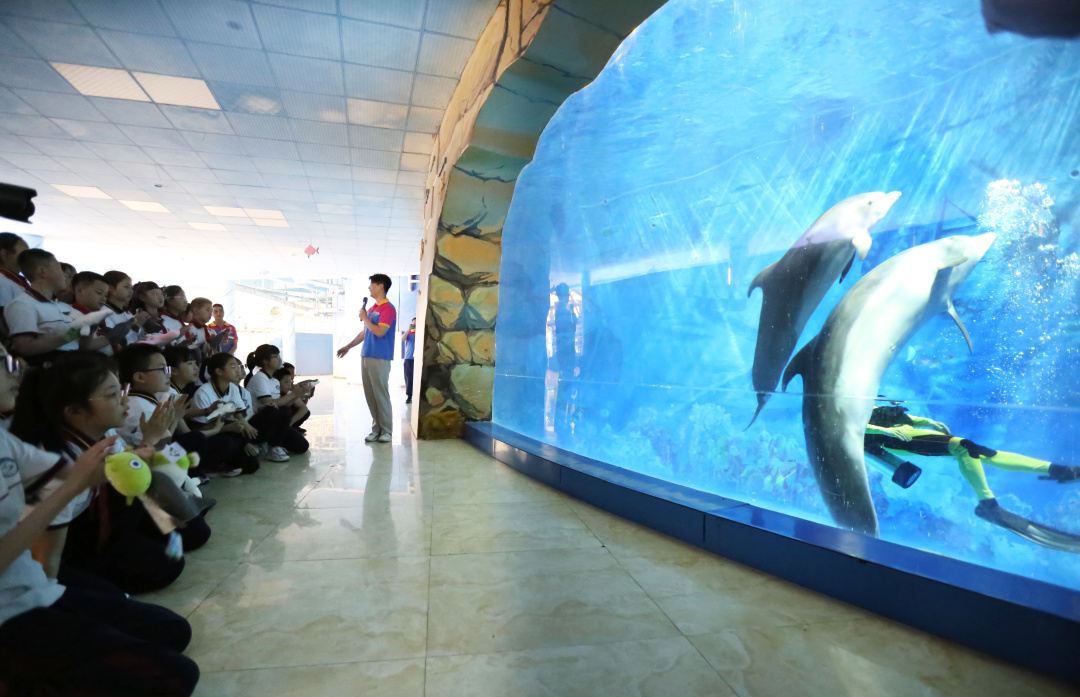 小海豚重庆南川,小海豚2岁4个月