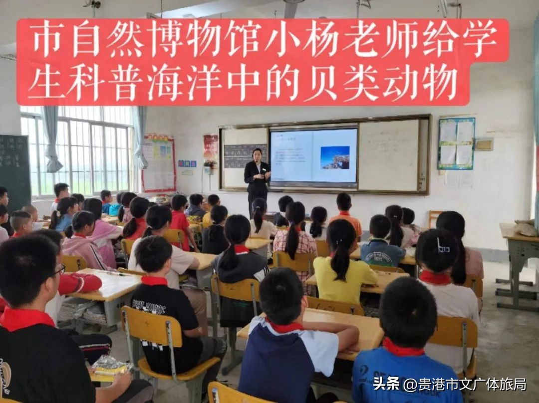 博物馆科普创新示范及具体方案,社区组织带青少年参观自然博物馆