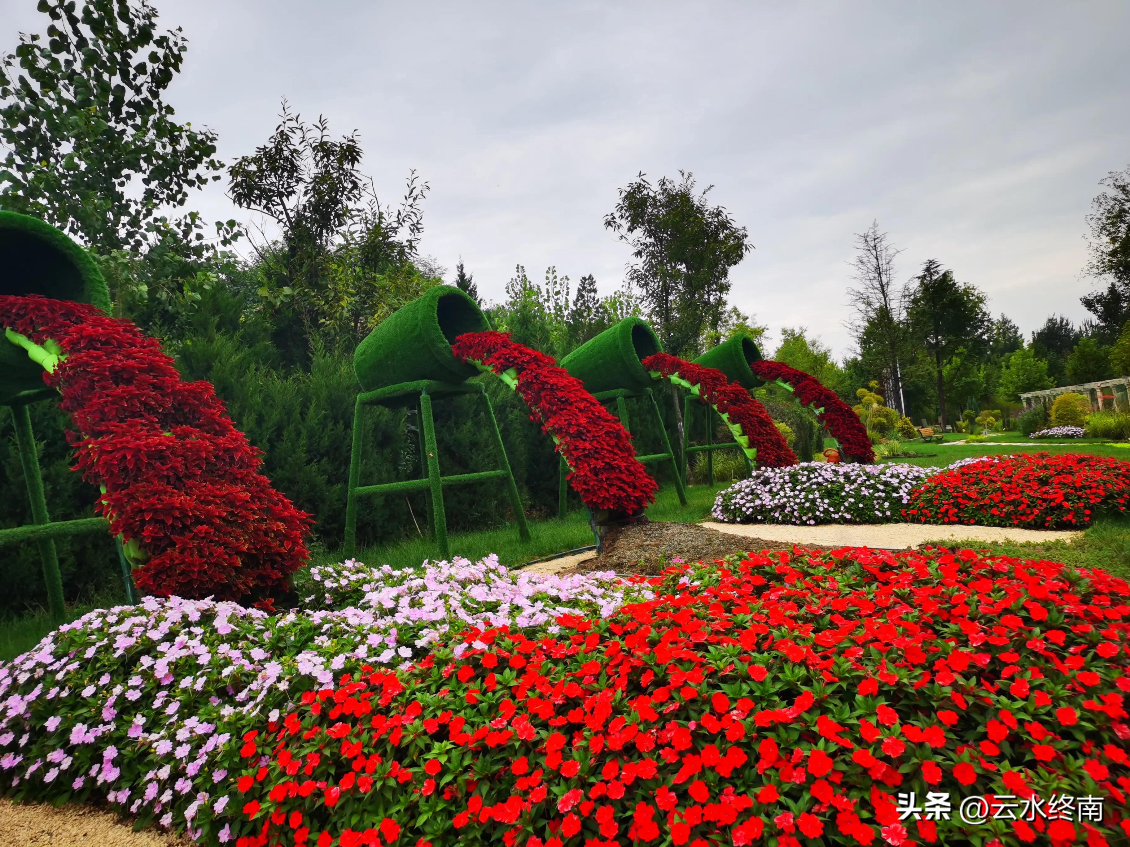 世界上最大室内植物园在哪,去世界上最大的动物园
