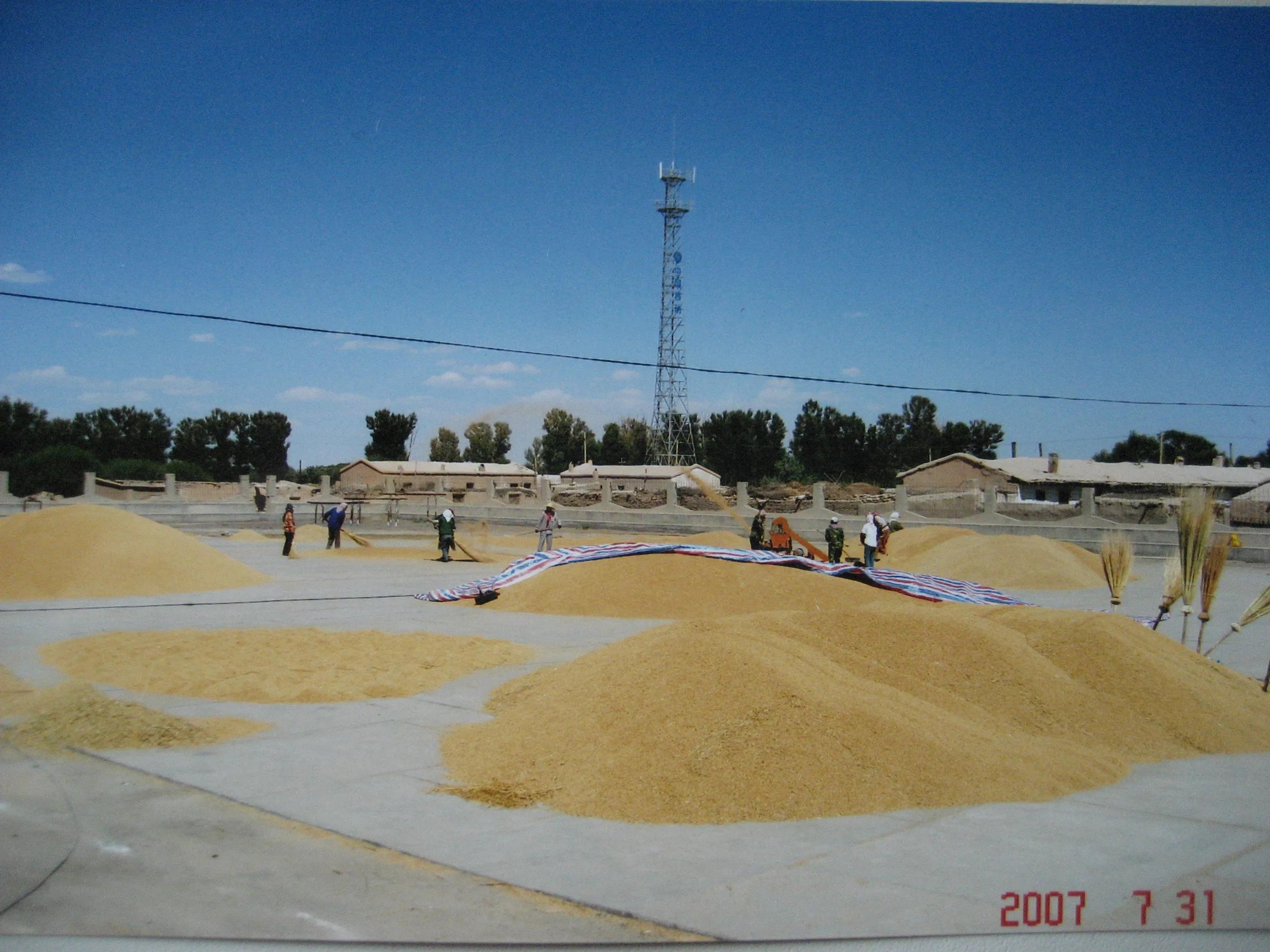 13年副营长,21营副营长