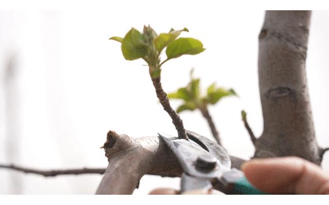 中国雕刻艺术之乡河北曲阳,曲阳雕刻产业规模