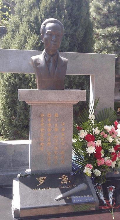 罗京去世近十年妻子改嫁豪门,罗京去世11年妻子携子改嫁富商