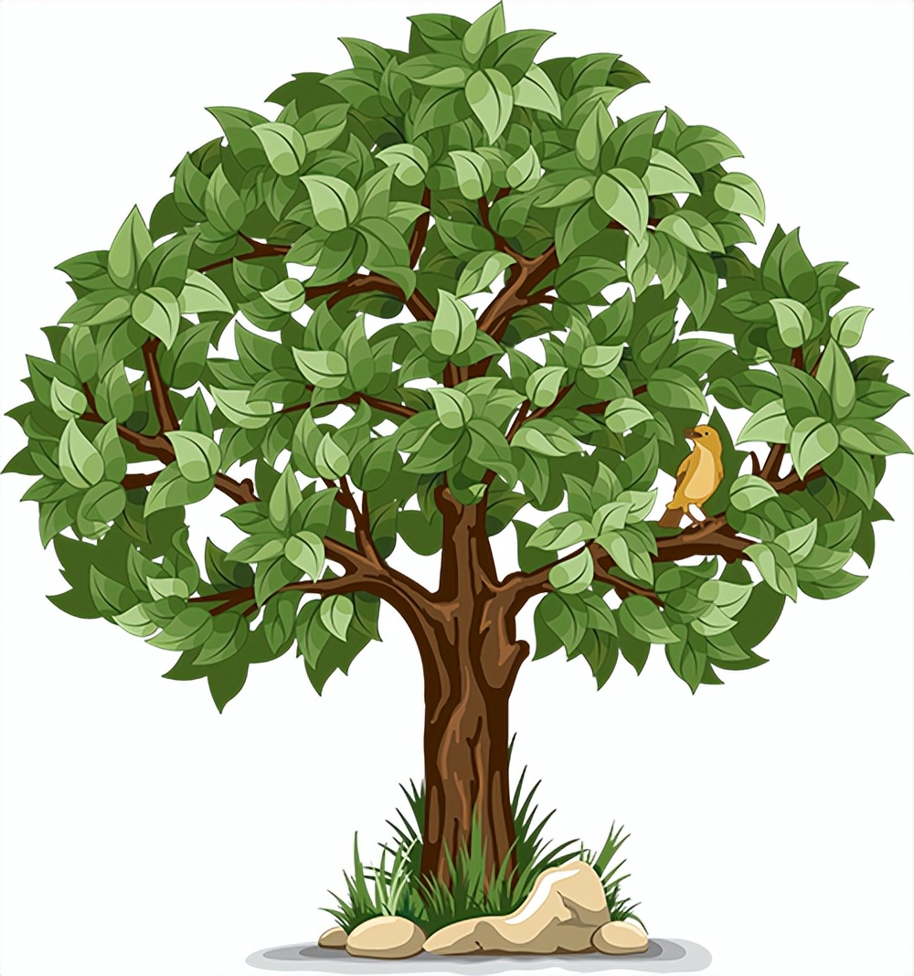 与春天撞个满怀的意思是什么,在棠梨湖公园邂逅春天