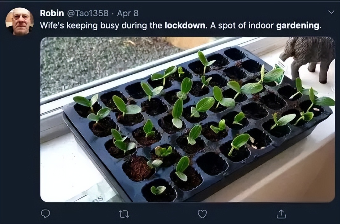 一个关于都市农业的思考：颠覆思维比颠覆技术更重要！