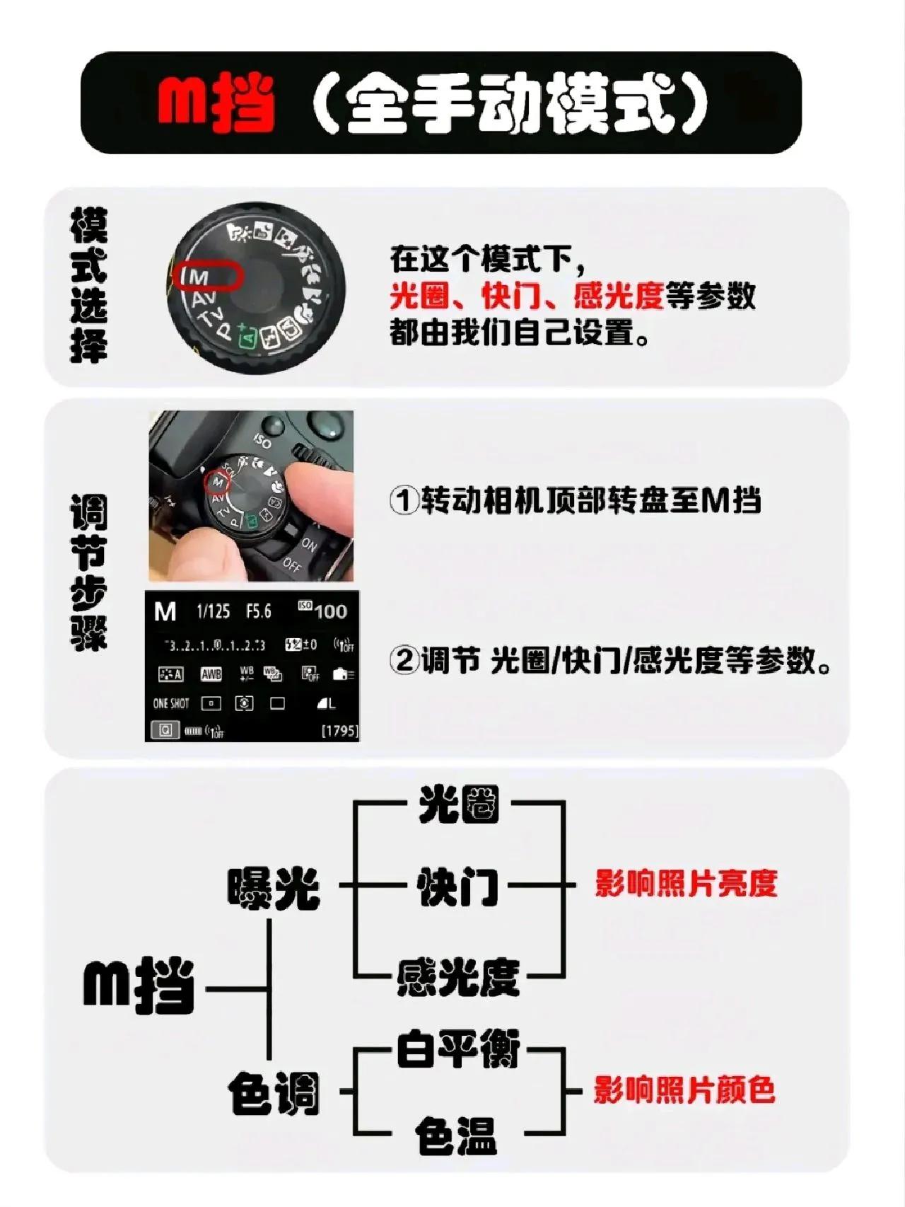 NO10032期|从初学到精通，图文详解“曝光组合”及M档使用教程！