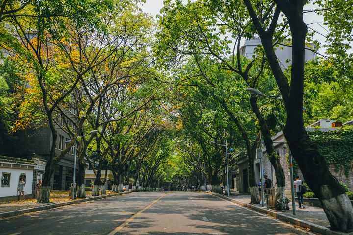 重庆春节小众自驾游推荐,重庆小众宝藏旅行地