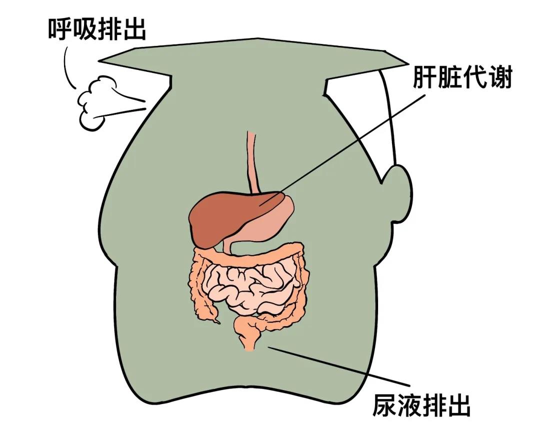蜂蜜酸奶有解酒功效吗,快速解酒的办法是酸奶还是纯牛奶