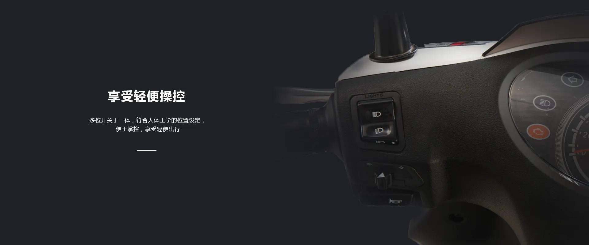 铃木丽彩125t-2电喷,济南轻骑铃木丽彩qs125t-6