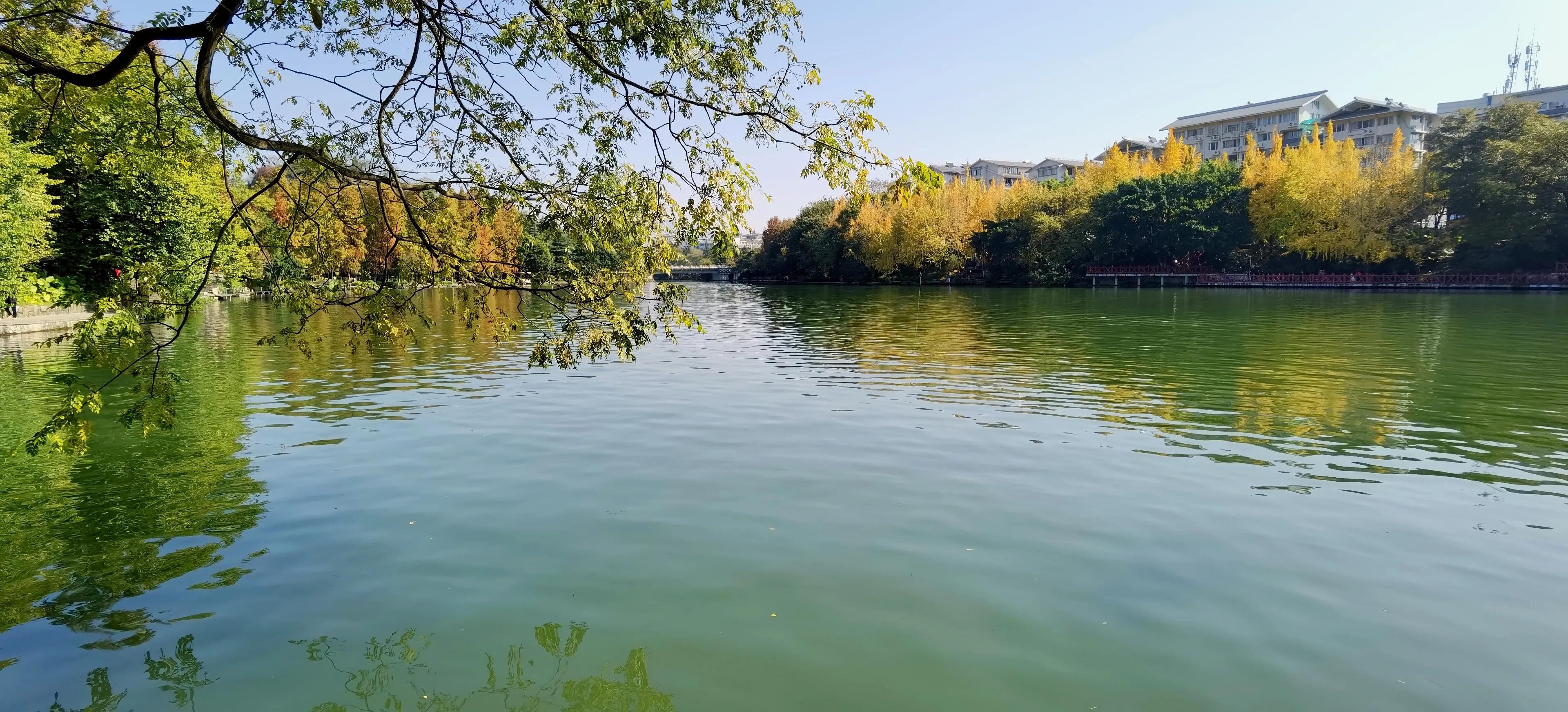 桂林的桂湖在哪里,桂林两江四湖之桂湖