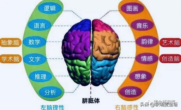 记忆力最差怎么办,记忆力不好的人学习怎么学