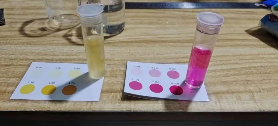 水产养殖什么鱼最赚钱？这篇文章来告诉你，创造高效益的关键