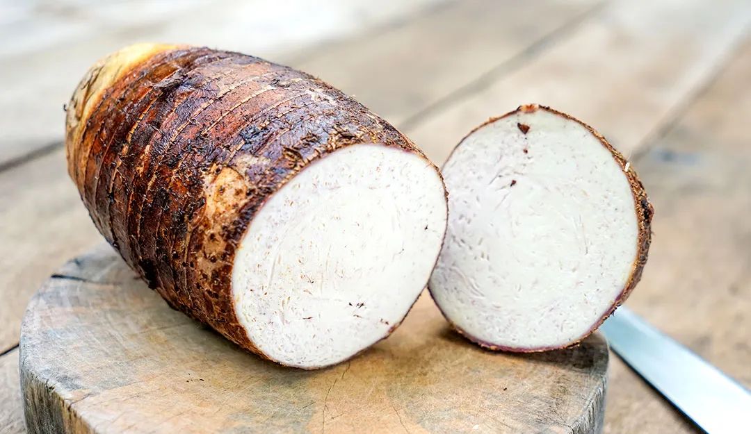 芋头高产窍门,芋头高产高效品种