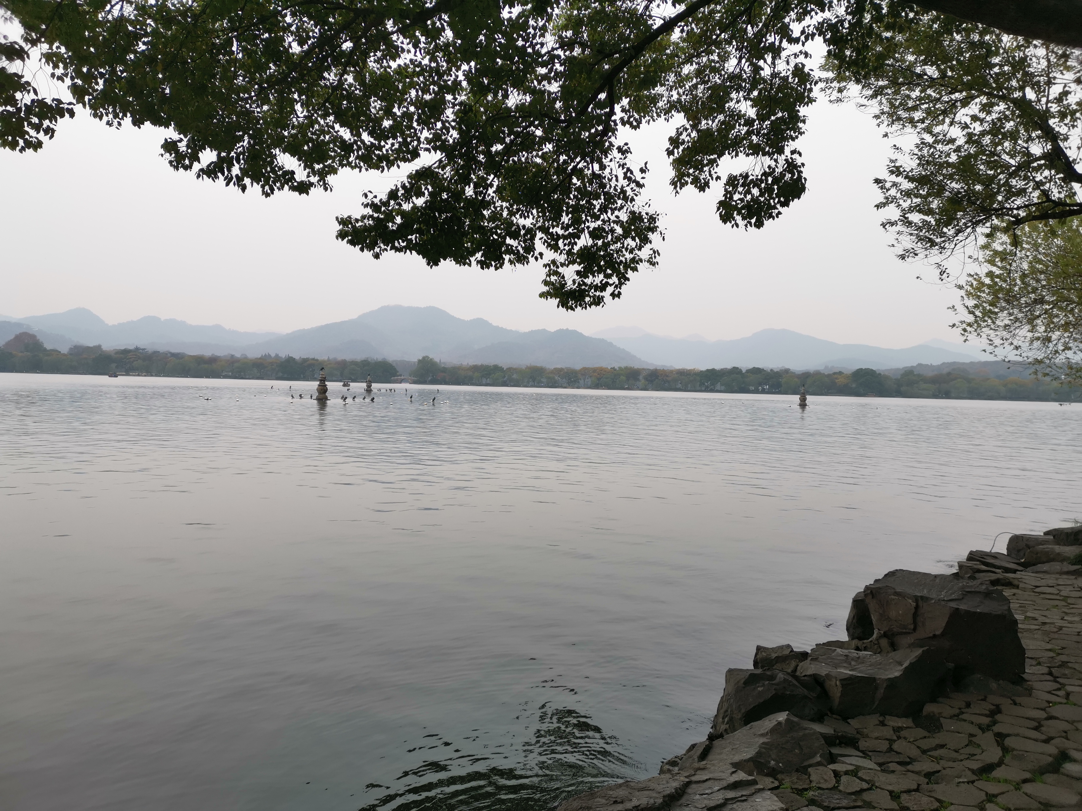 西湖印象股份有限公司,西湖印象张靓颖