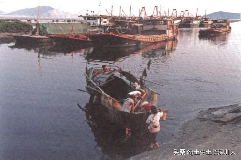 宝安最大的购物中心叫什么名字,宝安比较大的购物广场